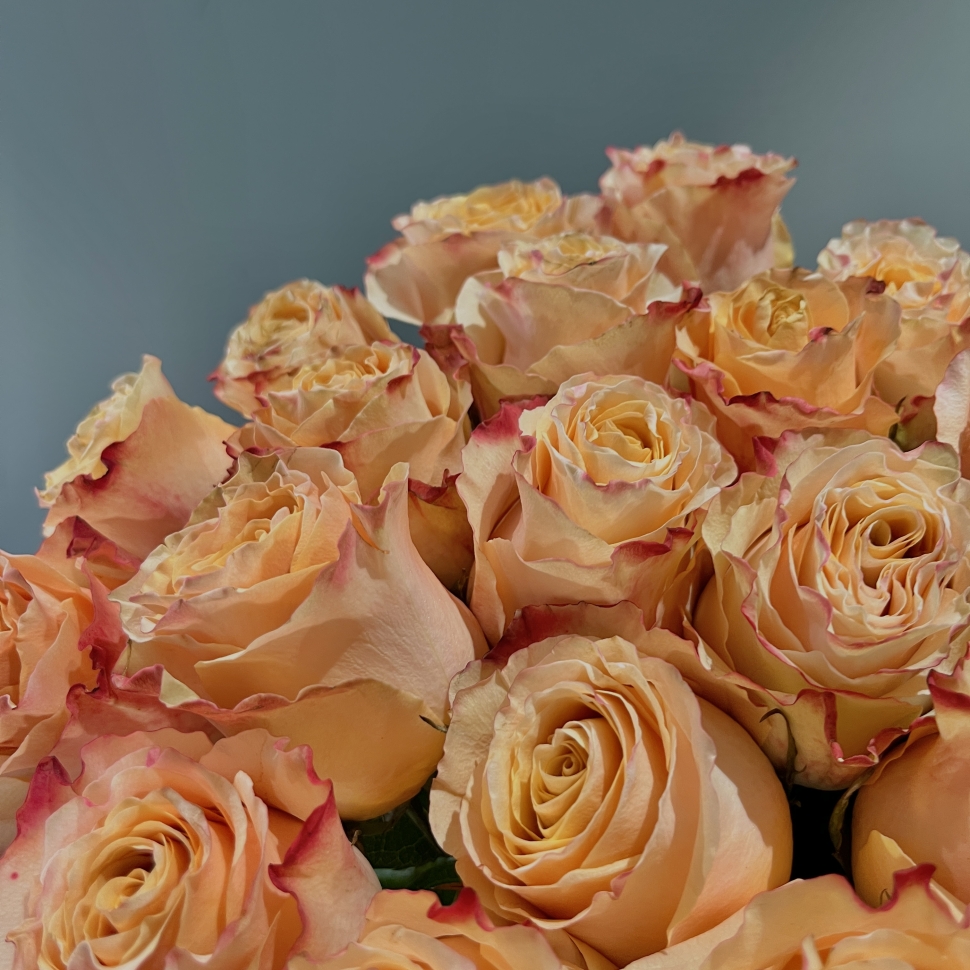 Букет из 25 Эквадорских роз