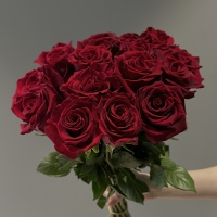 Букет из 15 Эквадорских роз