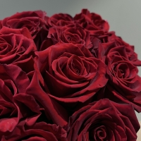 Букет из 15 Эквадорских роз