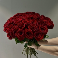Букет из 51 Эквадорских роз
