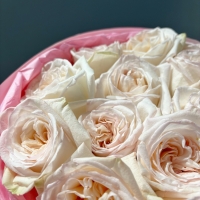 Монобукет из розы 