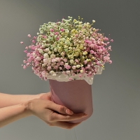 Композиция из гипсофилы