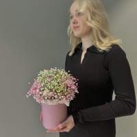 Композиция из гипсофилы