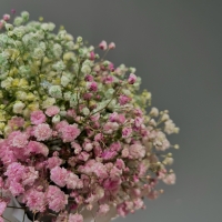 Композиция из гипсофилы