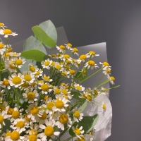 Монобукет из ромашек