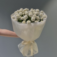 Моно из хризантемы 