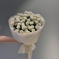 Моно из хризантемы