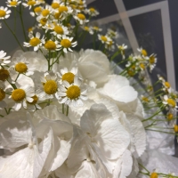 Дуо букет с гортензией и ромашками