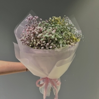 Моно из гипсофилы