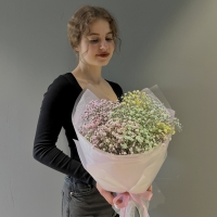 Моно из гипсофилы