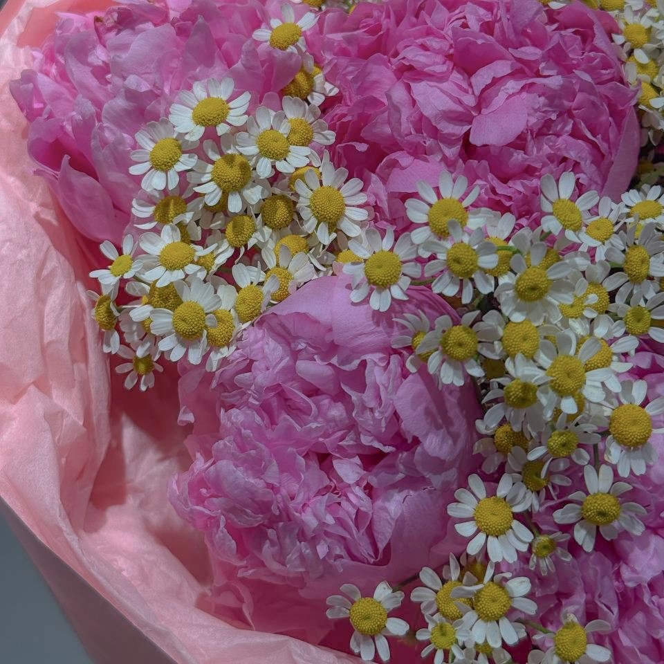 Дуо букет пионы с ромашками