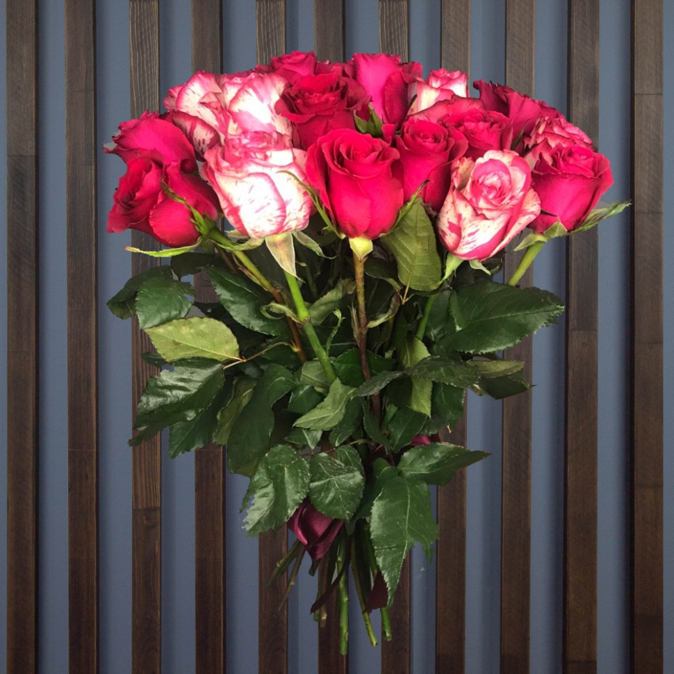 21  роза 60 см ( цвет на выбор )