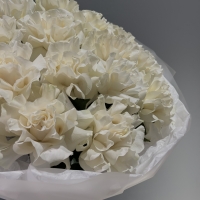 Монобукет из 19 эквадорских роз