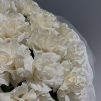 Монобукет из 19 эквадорских роз