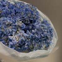 Монобукет из гортензии