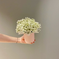 Композиция с гипсофилой