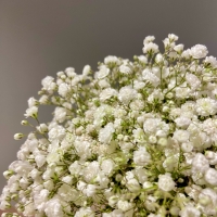 Композиция с гипсофилой