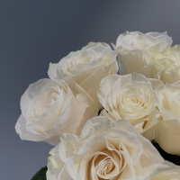 Букет из 11 Эквадорских роз