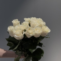 Букет из 15 Эквадорских роз