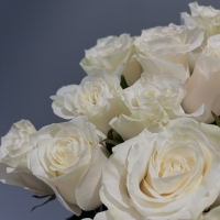 Букет из 15 Эквадорских роз