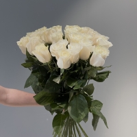 Букет из 25 Эквадорских роз