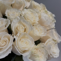 Букет из 25 Эквадорских роз