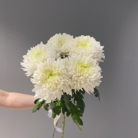 Букет из 5 хризантем