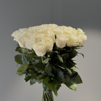 Букет из 51 Эквадорских роз