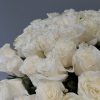 Букет из 51 Эквадорских роз