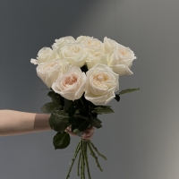 Букет из 11 Эквадорских роз