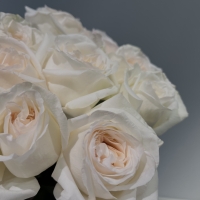 Букет из 11 Эквадорских роз