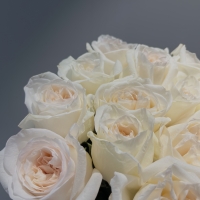 Букет из 15 Эквадорских роз