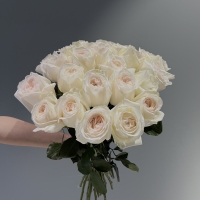Букет из 25 Эквадорских роз