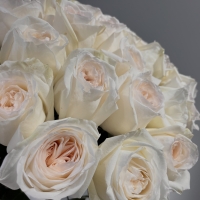 Букет из 25 Эквадорских роз