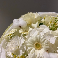 Сборный букет с ромашкой и гортензией