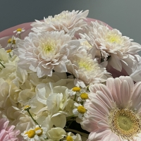 Сборный букетс герберой, гортензий и хризантемой