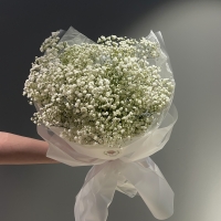 Монобукет  из гипсофилы