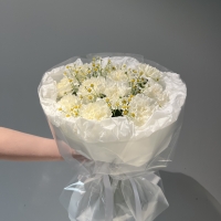 Дуо букет с гвоздикой