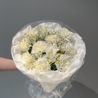 Дуо букет с гвоздикой