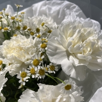 Дуо букет с гвоздикой