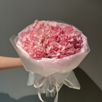 Моно из гортензии