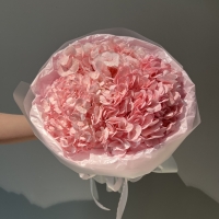 Моно из гортензии