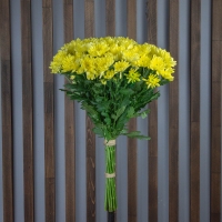 Хризантема Кустовая 