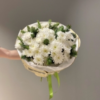 Дуо букет с кустовой хризантемой и нобилисом