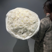 Монобукет из кустовой хризантемы АКЦИЯ