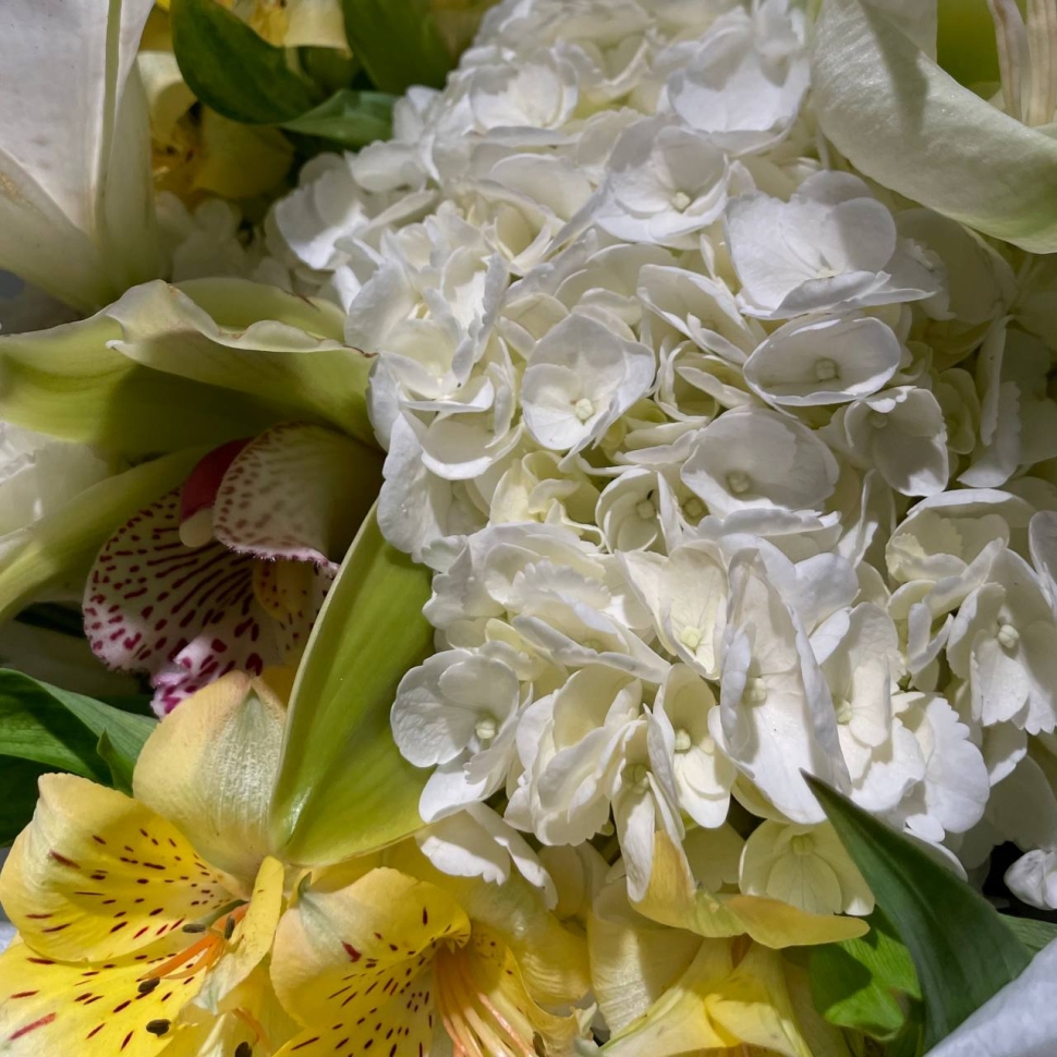 Сборный букет с амарилисом и орхидеей