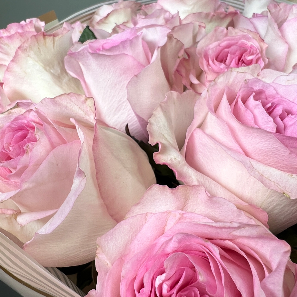 Букет из 9 роз | цвет на выбор
