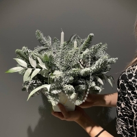 Композиция с нобилисом свечами