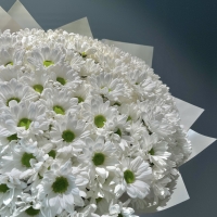 Монобукет из кустовой хризантемы