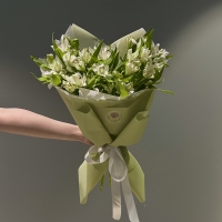 Монобукет из альстромерии